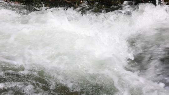 农村河流 溪水 水资源  河水污染视频素材模板下载