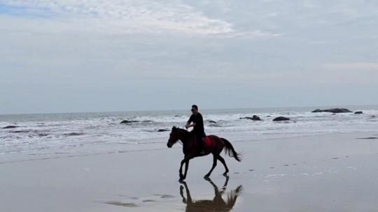 海边骑马-吹海良马奔跑视频素材模板下载