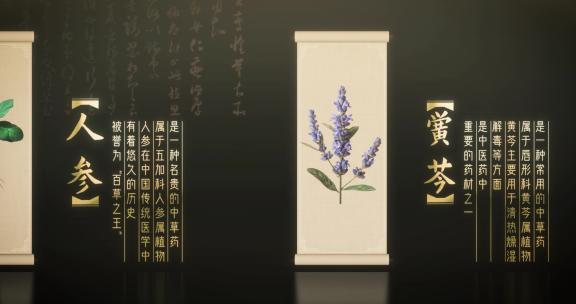 2款中医药材(AE模板)横移展示 卷轴