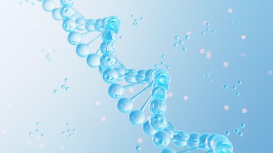 DNA 与分子结构动画