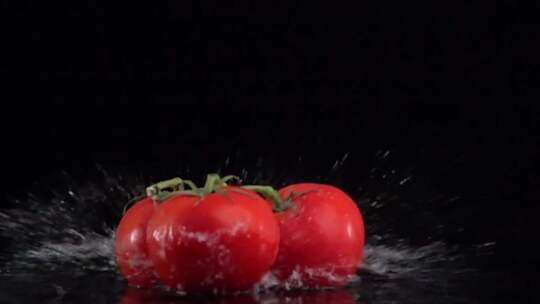 西红柿创意短视频