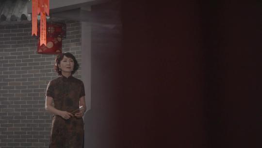 唯美穿旗袍美女逛老西关古建筑骑楼许愿树