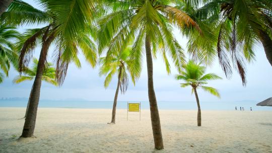 海南三亚椰梦长廊 椰树 椰子树 沙滩海滩视频素材模板下载