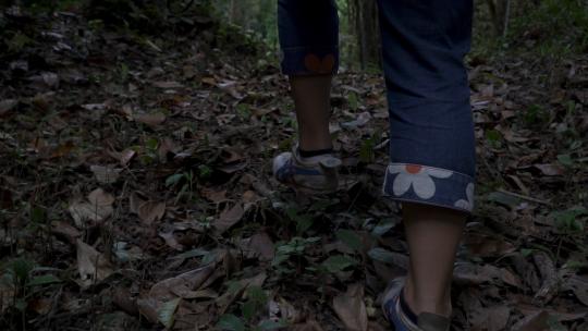 森林中踩着落叶漫步走路见到瀑布升格1080