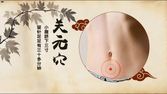 J007中医药材穴位展示AE模板高清AE视频素材下载