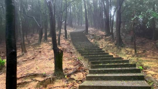 深山雨天起雾登山楼梯
