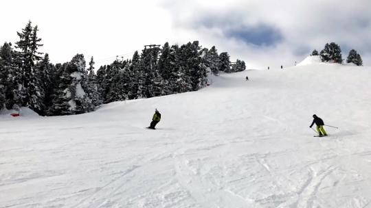 成年男性在滑雪