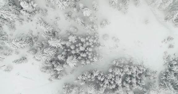 航拍冬季森林雪林雾凇雪地雪松雪景大雪