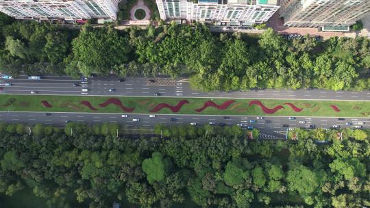 城市交通-深圳深南大道城市车流视频素材模板下载