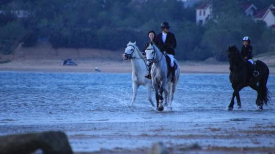 威海西海岸日落湾沙滩上练习马术的骑马人