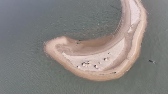 福建泉州晋江围头湾触角沙滩自然风光视频素材模板下载