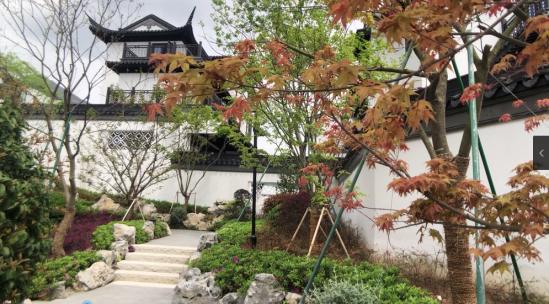中式合院别墅  中式园林建筑山石花草绿植