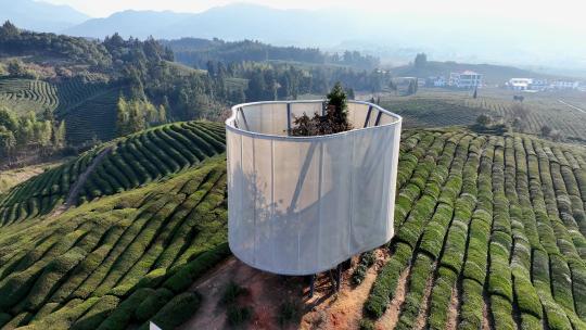 航拍江西景德镇浮梁县寒溪村茶园风光