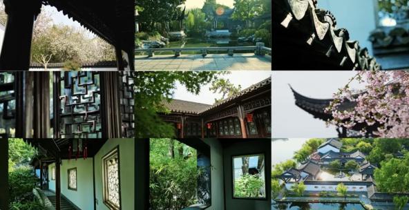 苏州园林 海棠花 早晨高清在线视频素材下载