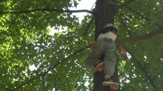 一名小女孩爬树到了树顶