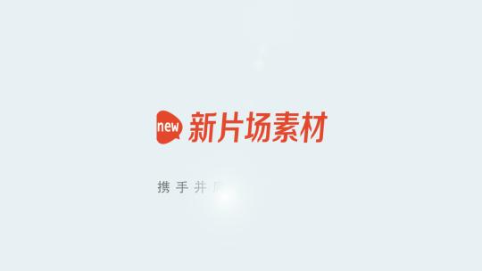 4k简约大气优雅的标题文字logo展示动画20