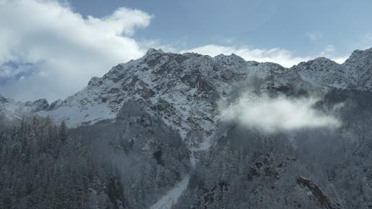 四姑娘山双桥沟