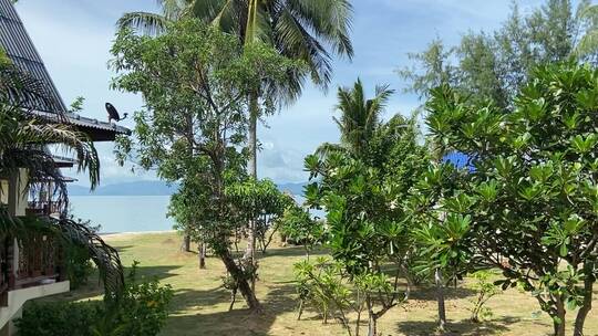 绿树成荫的海岛海滩度假胜地