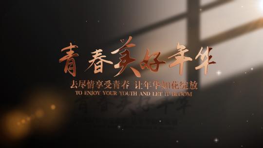 唯美高端金色光影文字标题