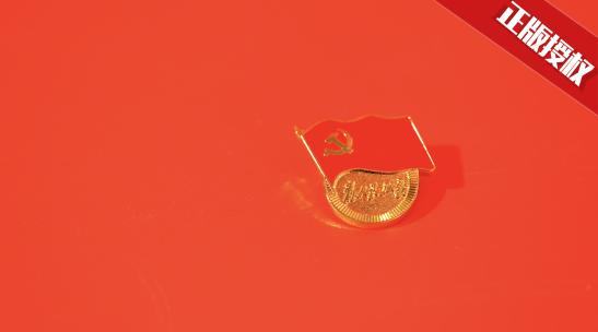 党徽党章红色文化徽章