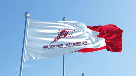 新疆广汇实业投资旗帜视频素材模板下载