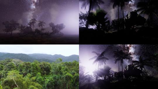 【合集】森林 热带雨林 树木 光线 夜景