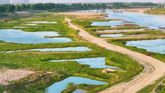 渭河湿地 两岸风光自然环境视频素材模板下载