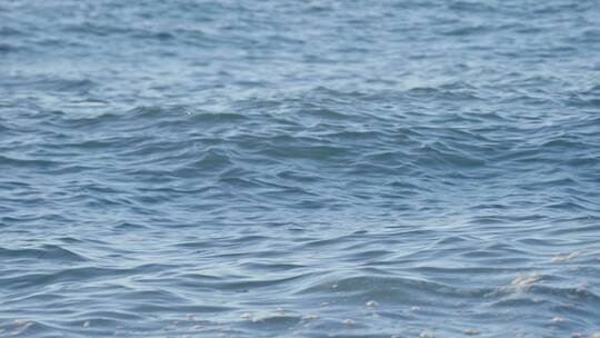海面波光粼粼的浪涌浪花
