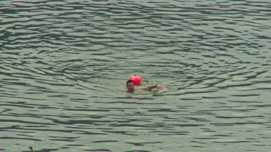 长江里游泳的人视频素材模板下载