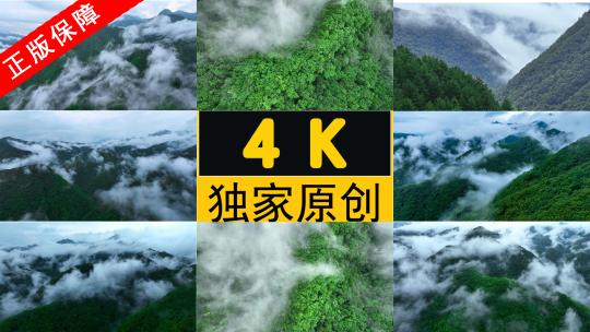 4k森林大自然云海风景树林山水自然山云雾高清在线视频素材下载