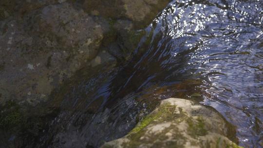 溪水奔流4K水流泉水河流小溪山涧高清在线视频素材下载