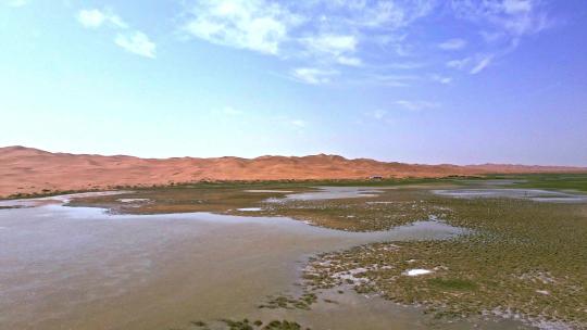 沙漠湖泊湿地沙漠绿洲视频素材模板下载