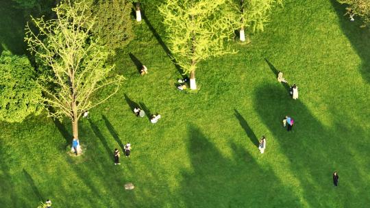 航拍城市公园春天草坪绿地上晒太阳的人群