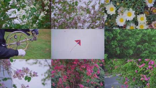 清明踏青赏花春天放风筝空镜头合集高清在线视频素材下载