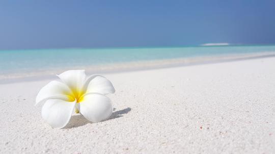 热带无人机干净的夏季白色天堂沙滩和水蓝色的水背景在co视频素材模板下载