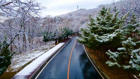 航拍雪后滨海路树枝擦肩而过