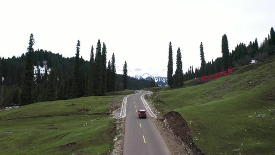 新疆伊犁库尔德宁恰西森林雪山草甸汽车航拍