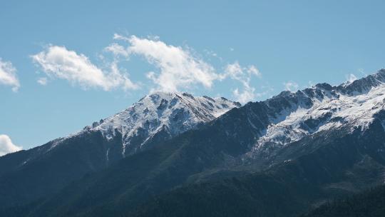 白马雪山自然保护区