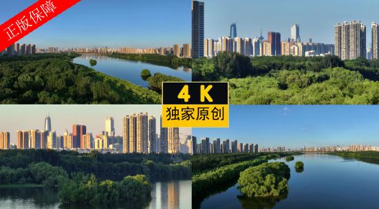 4K高清沈阳宣传片生态城市绿化一河两岸