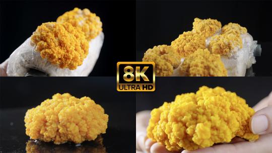 8K食用菌农产金耳黄木耳菌展示广告视频素材高清在线视频素材下载