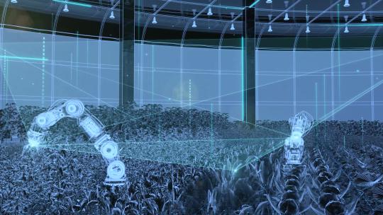 自动化农业种植 科技大棚种植发展