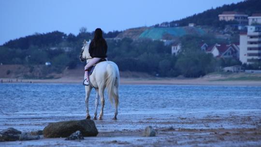 威海日落湾沙滩上策马奔腾的骑马人