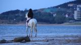 威海日落湾沙滩上策马奔腾的骑马人高清在线视频素材下载