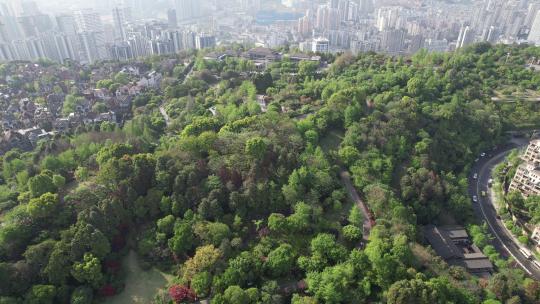 重庆 鸿恩寺公园 航拍 春天