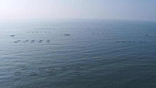 青岛海洋牧场海水养殖基地