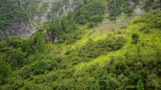 瑞士阿尔卑斯山的无人机俯瞰一座有树木的陡峭山峰