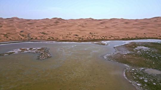 沙漠湖泊湿地沙漠生态