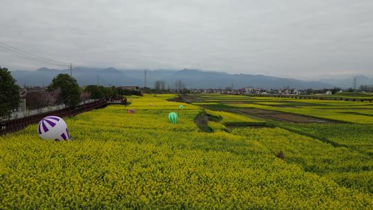 汉中油菜花春季踏青秦岭雪山农村田野旅游