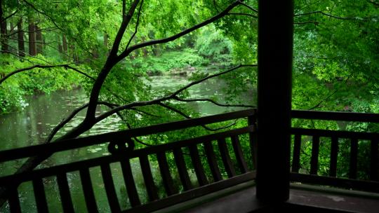 杭州虎跑下雨天绿色树林里水边的亭子幽静