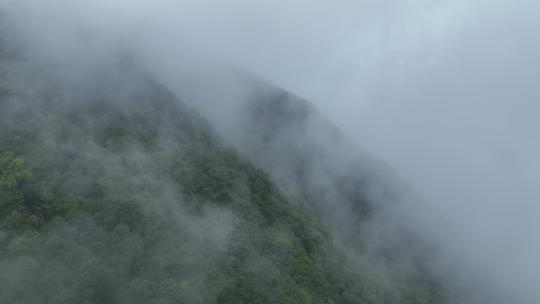 烟雨云雾缥缈的大山